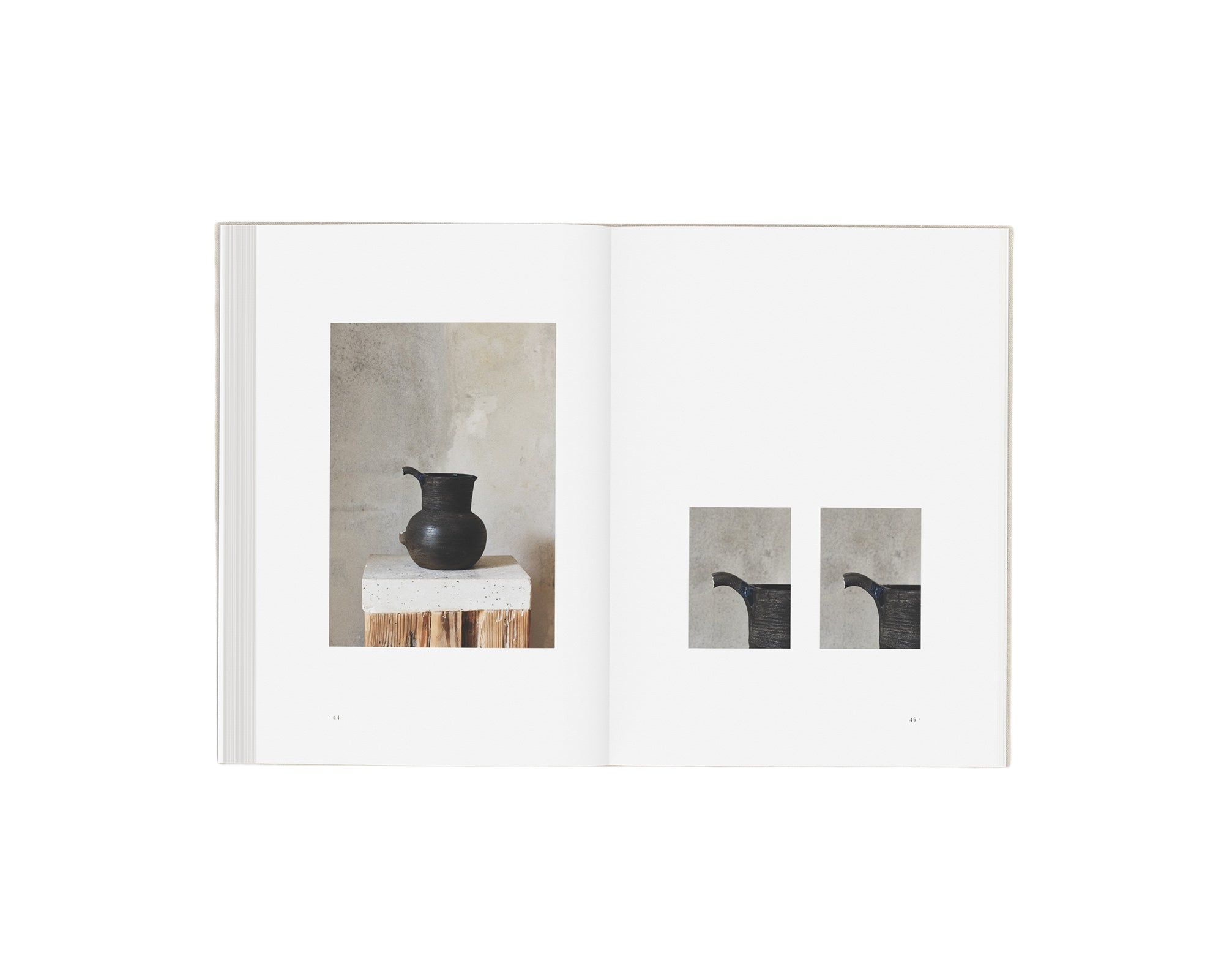 Perception Form Book