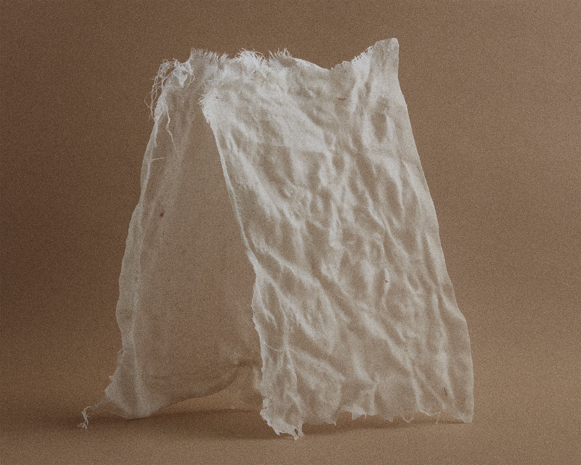 Perfume Oil | Komorebi | 10 mL