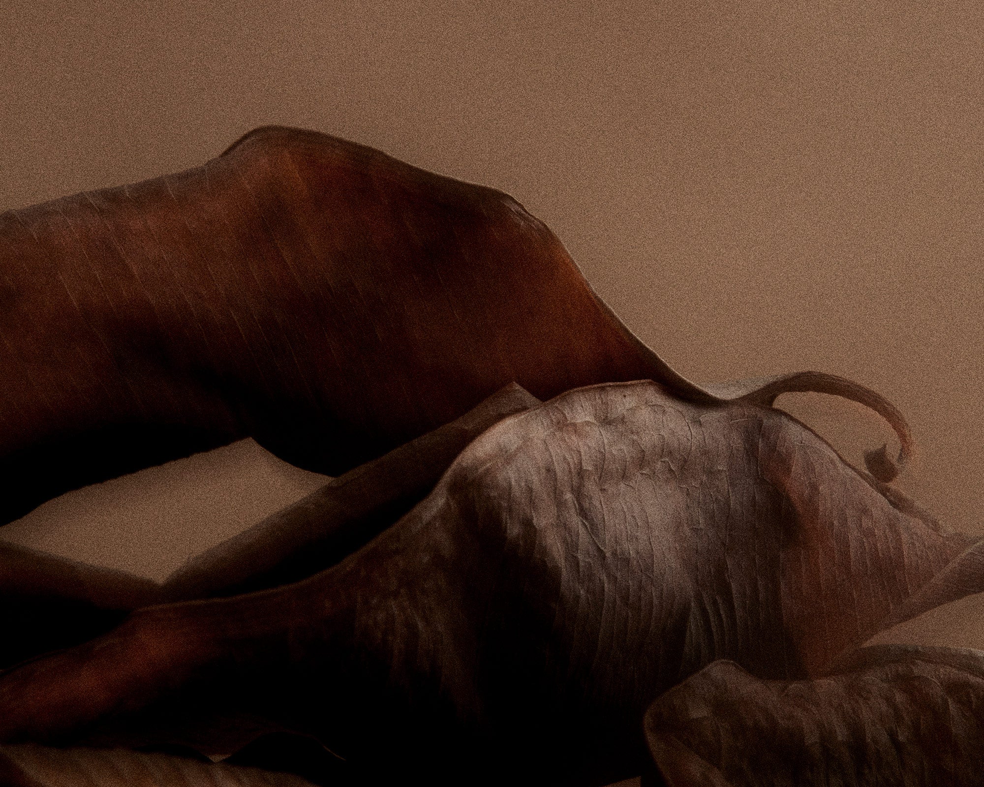 Eau de Parfum | 1917 | 2.5 mL