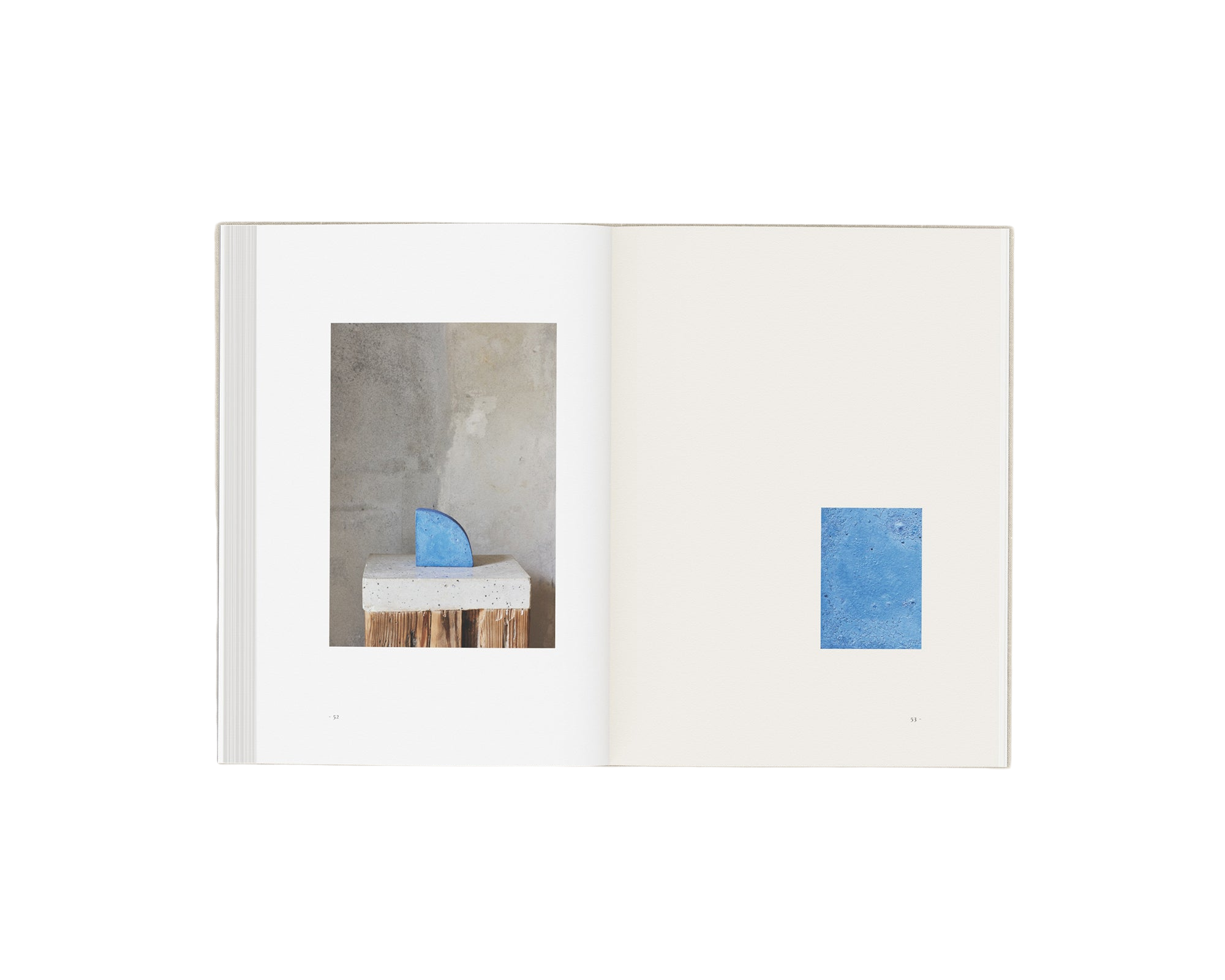 Perception Form Book