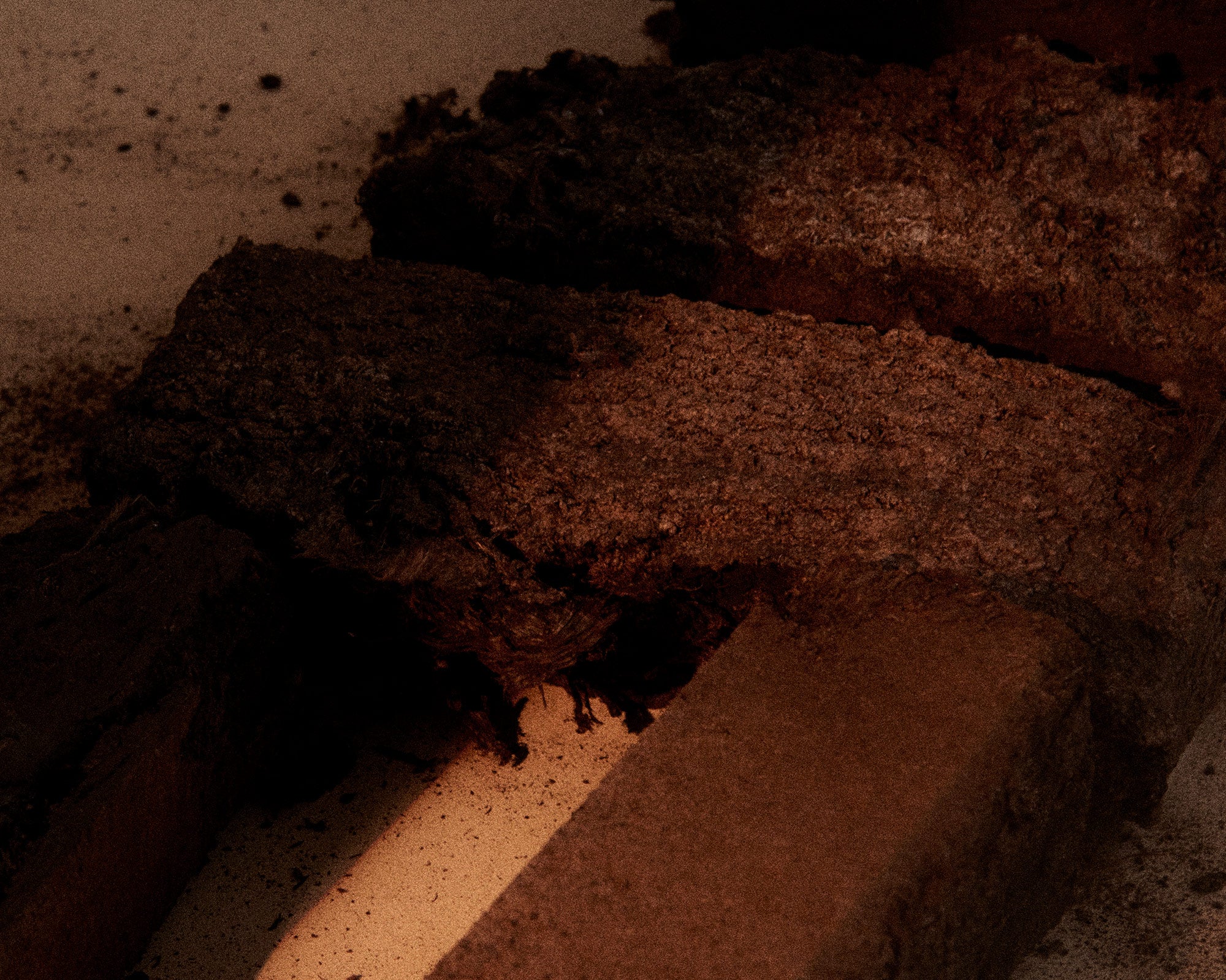 Eau de Parfum | Deep Forest | 2.5 mL