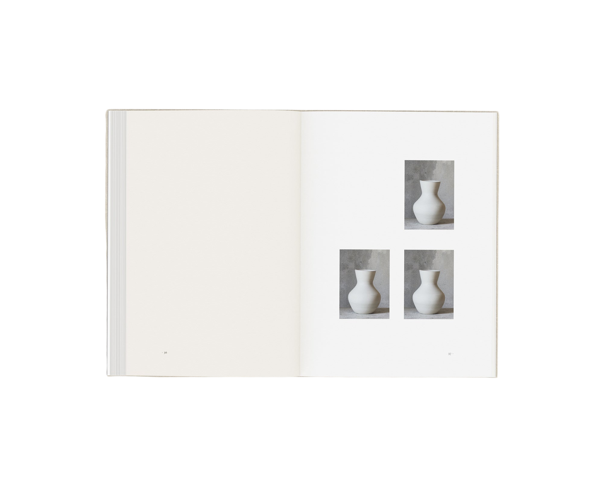 Perception Form Book