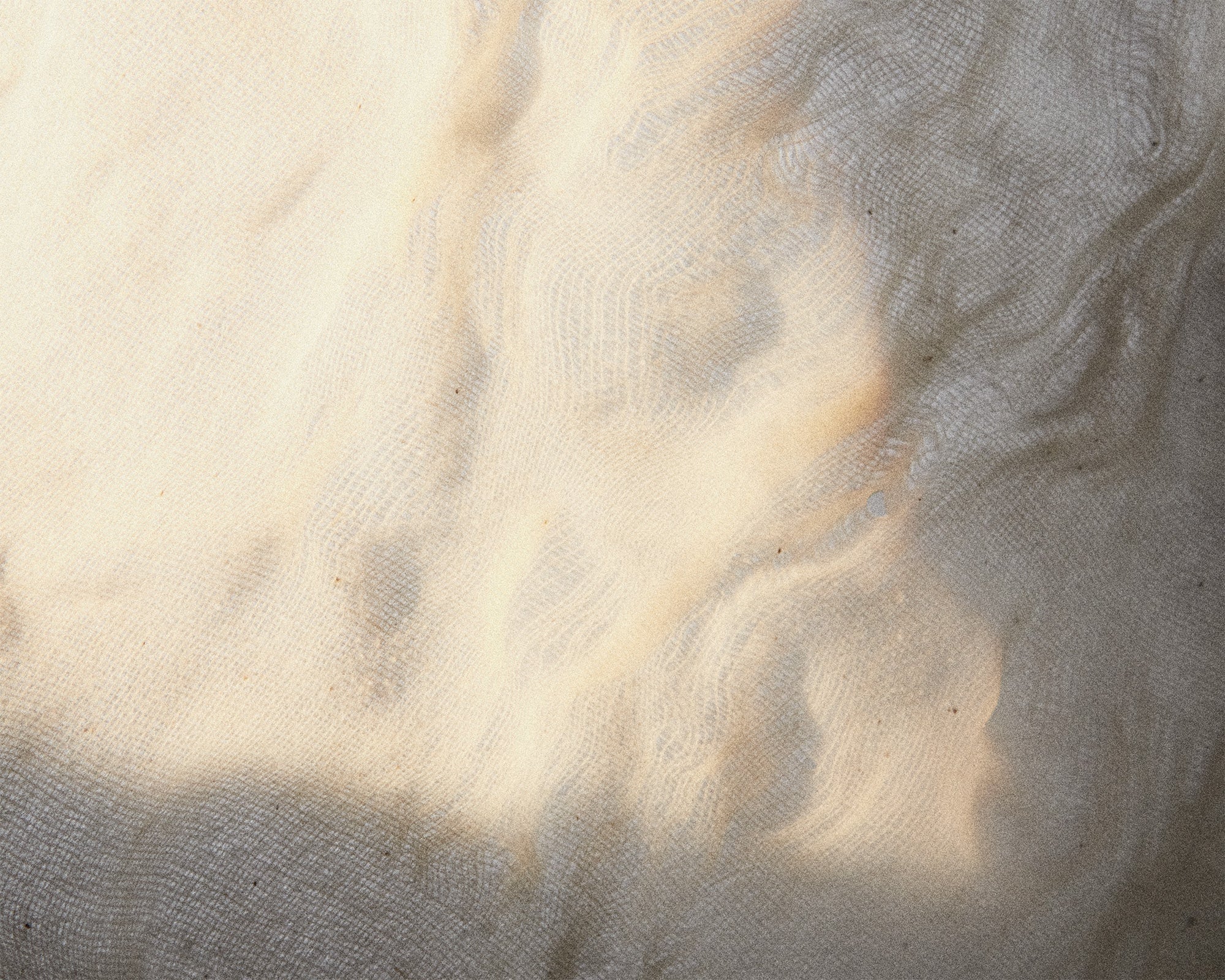 Eau de Parfum | Komorebi | 2.5 mL