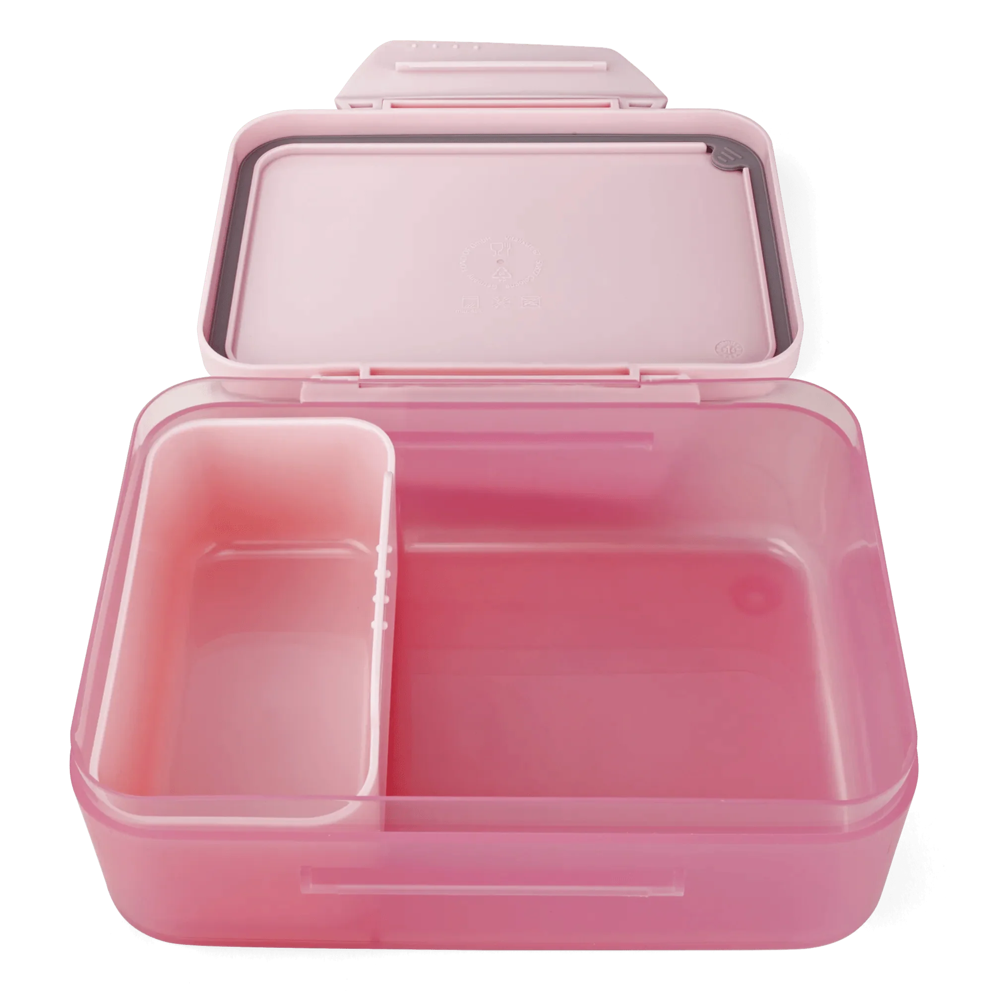 Lunchbox Rose