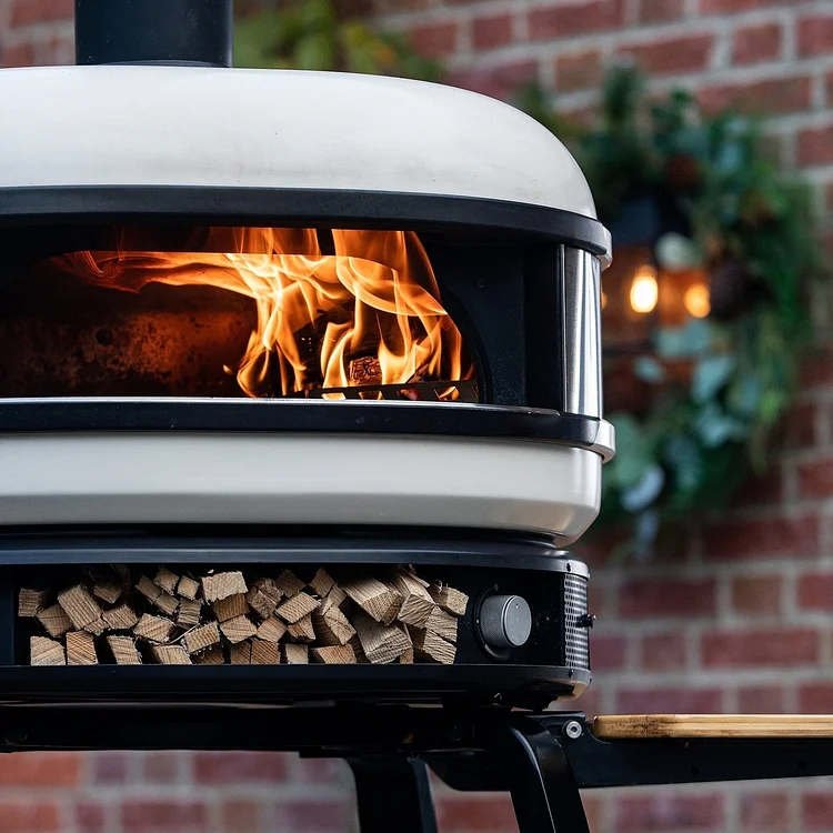 Outdoor Oven Propane Gas & Wood-Fired Dual Fuel