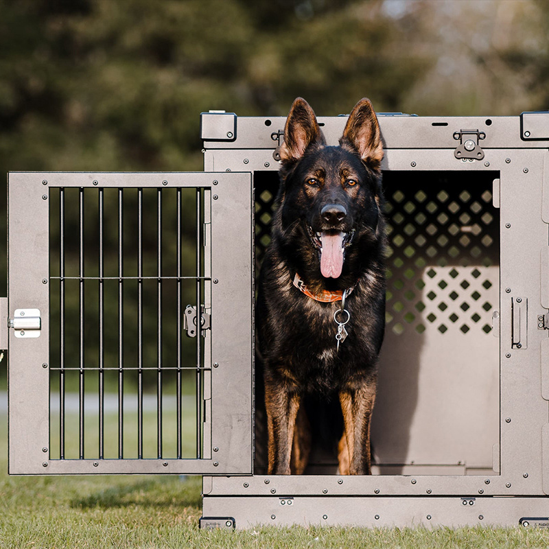 🔥 low Price Promotion🔥 Lightweight, Portable Collapsible Pet Cage