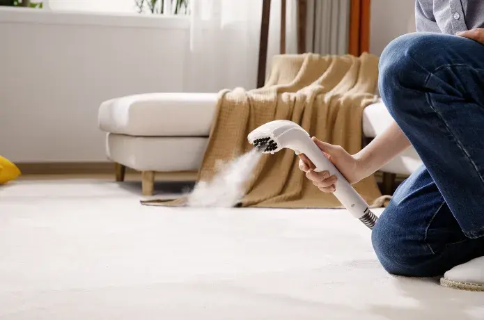 UWANT B200 Spot Cleaner and Steamer for Textiles