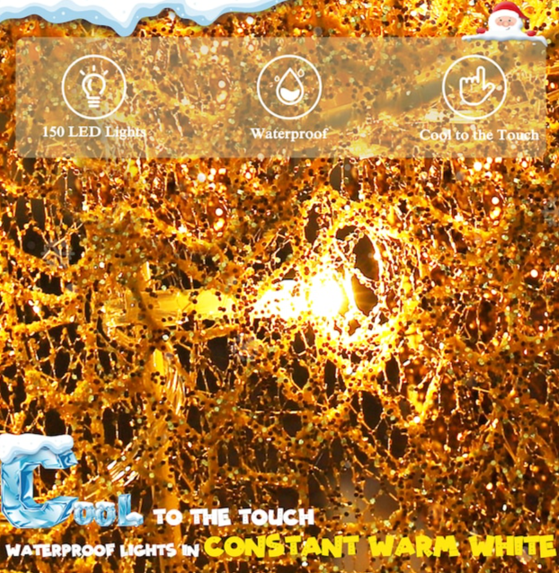 🎄Christmas Special Offer! ✨