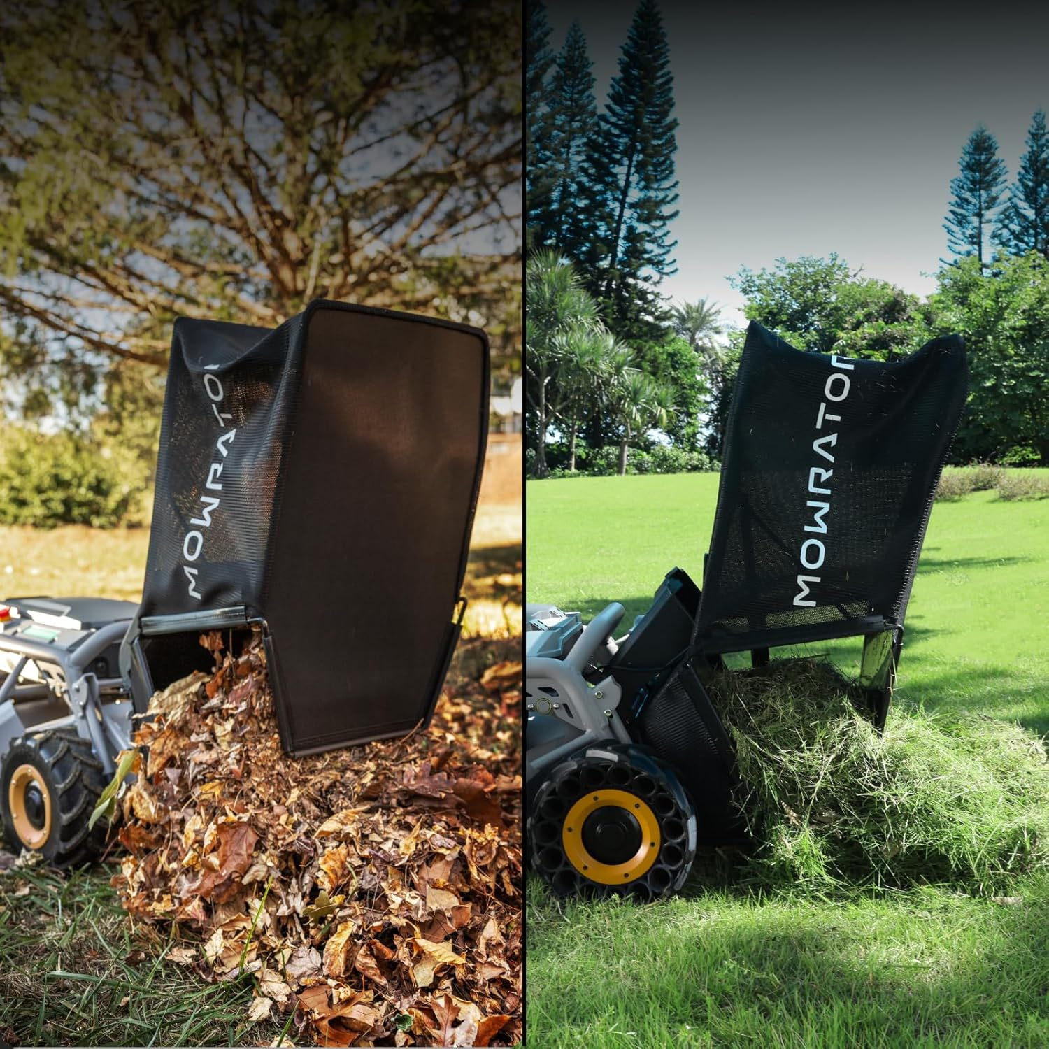 ✨ Hot-selling new products, grab discounts in progress!