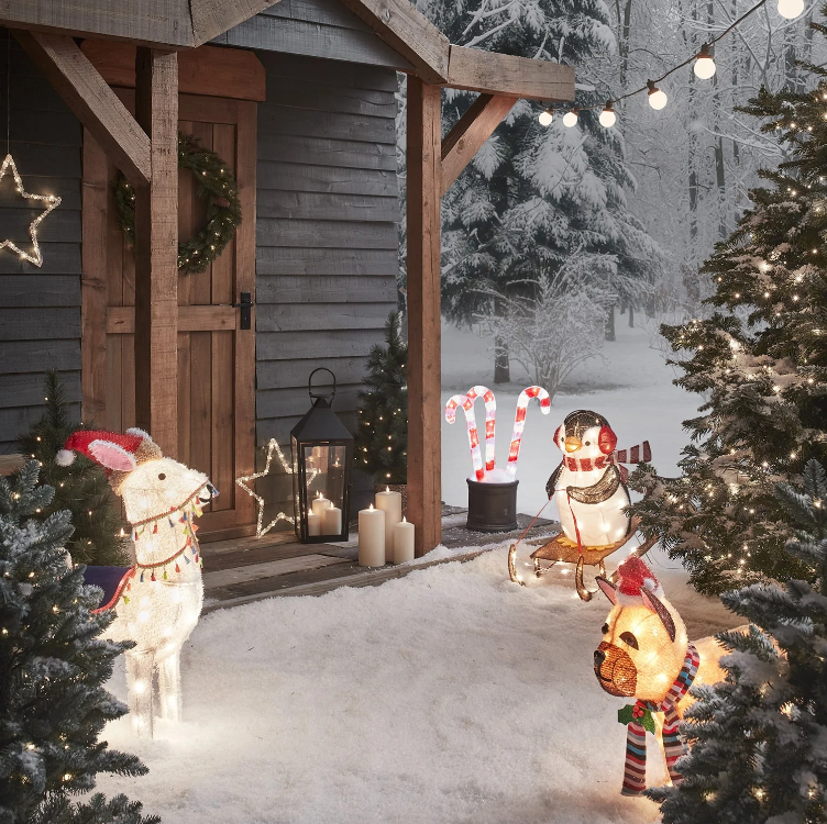 🎄Christmas Special Offer! ✨