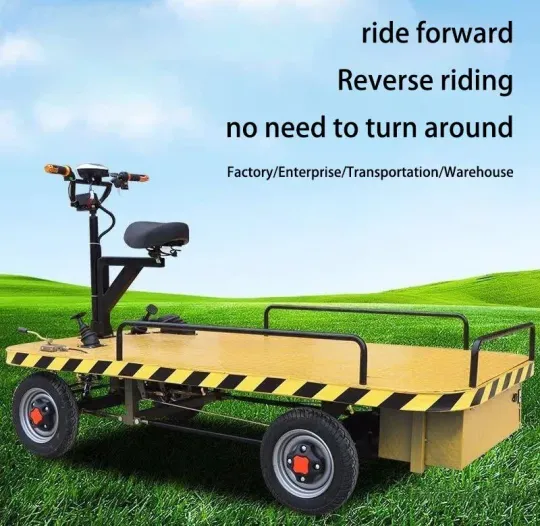 🎁✨promotion sale🚚 Flat electric vehicle👍