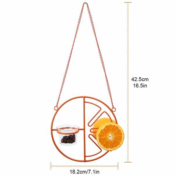 (🐦Special 50% OFF)-2 In 1 Hummingbird Oriole Feeder