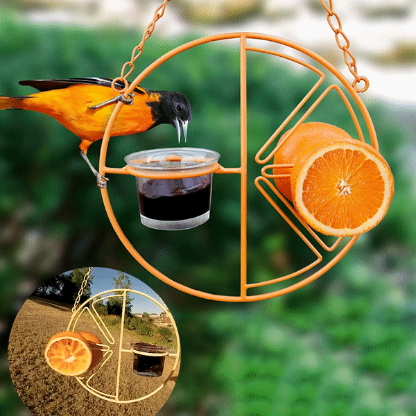 (🐦Special 50% OFF)-2 In 1 Hummingbird Oriole Feeder