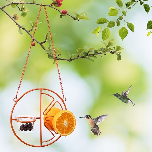 (🐦Special 50% OFF)-2 In 1 Hummingbird Oriole Feeder