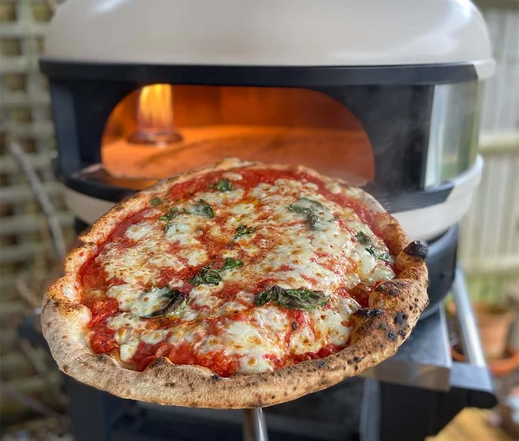 Outdoor Oven Propane Gas & Wood-Fired Dual Fuel