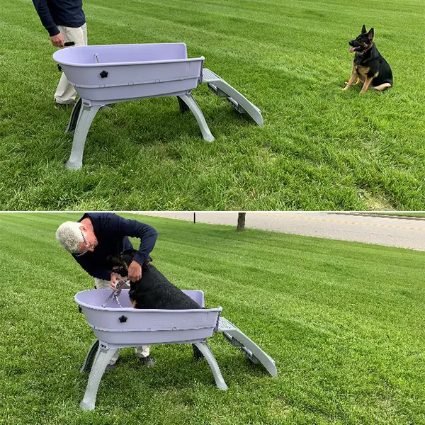 🎉Factory price Sale📦Time limited - The Most Elegant, Convenient And Functional Dog Bath