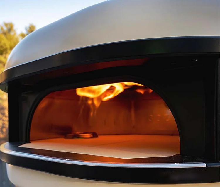 Outdoor Oven Propane Gas & Wood-Fired Dual Fuel