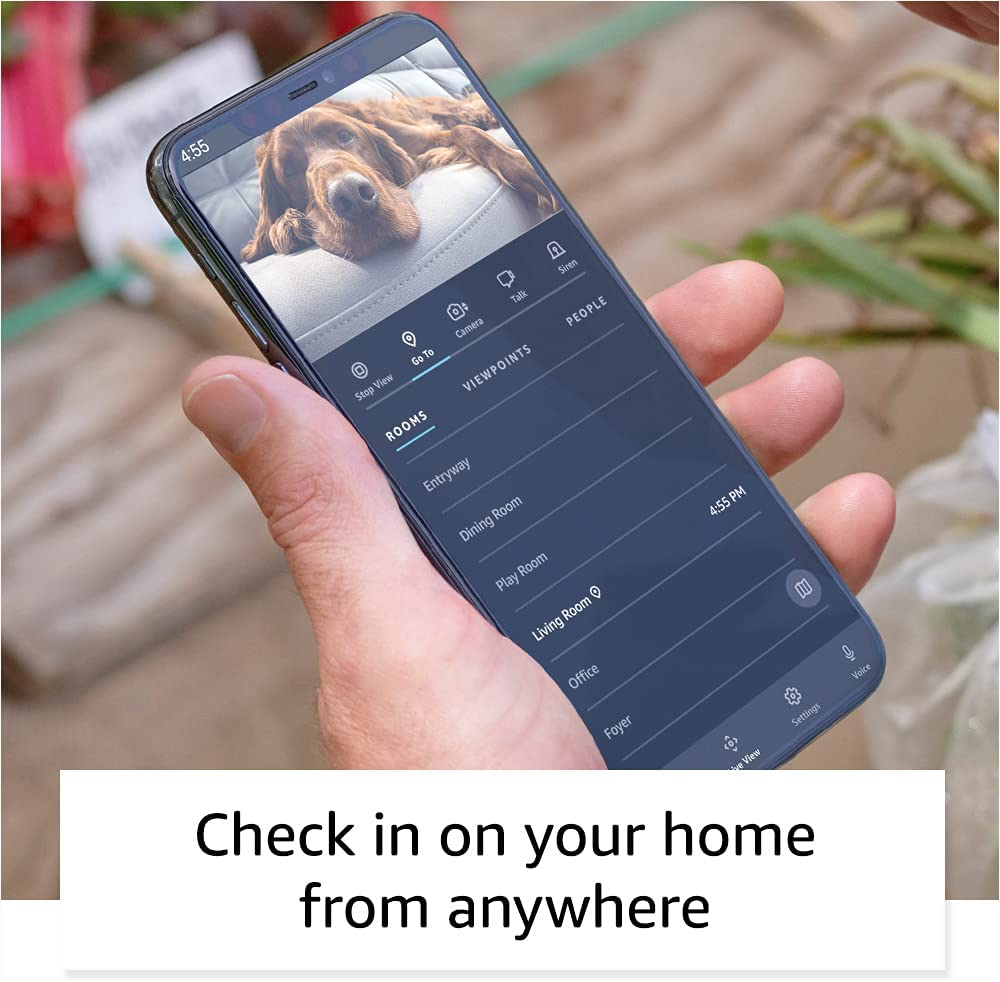 Household robot for home monitoring