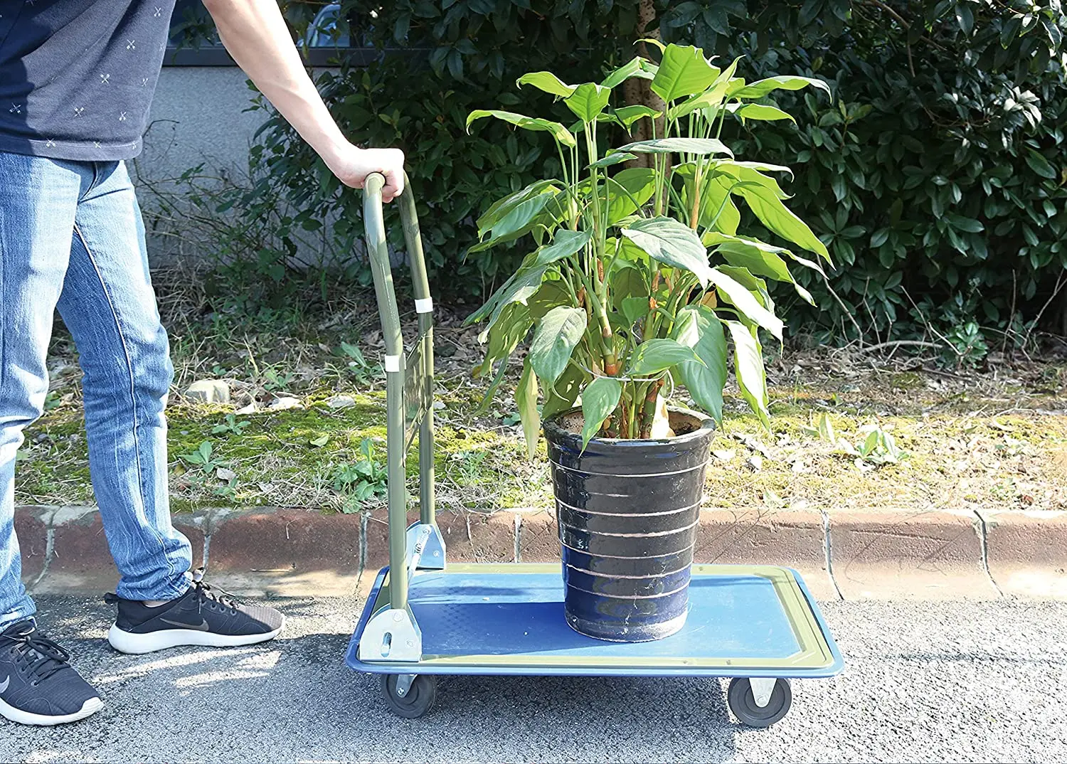 Folding & Rolling Flatbed for Loading, Blue Bumper, 700 Lb. Load Capacity