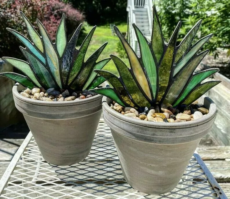 (Mother's Day Flash Sale)Suncatcher Stained Agave Plante