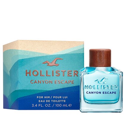 Hollister Canyon Escape Men's