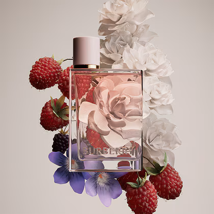 Burberry Burberry Her