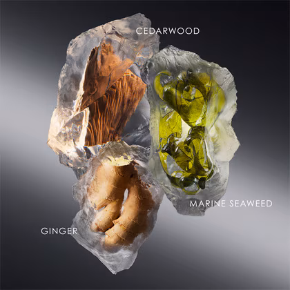 Issey Miyake Les Sel d'Issey