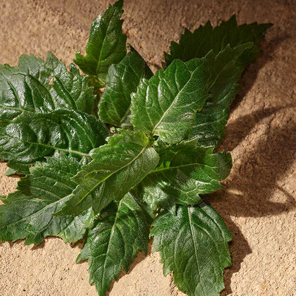 Dolce&Gabbana Devotion Man