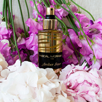 Pascal Morabito Amber Fever