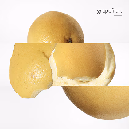 HERMÈS Terre d'Hermès