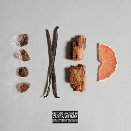 Zadig & Voltaire This is Him!