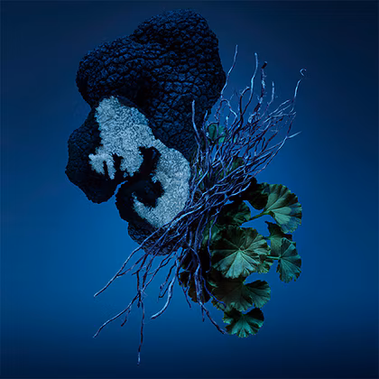 Carolina Herrera Bad Boy Cobalt