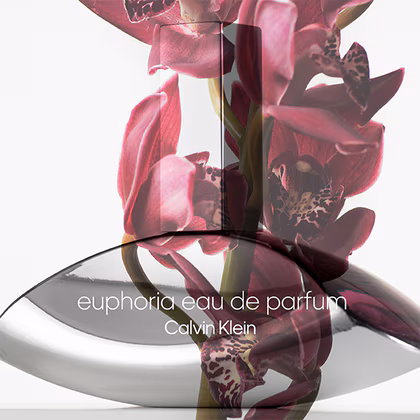 Calvin Klein Euphoria For Women