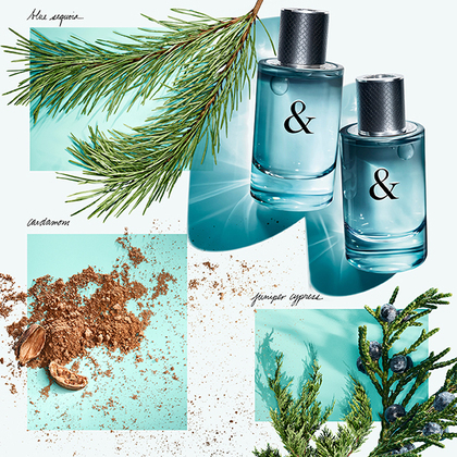 Tiffany & Co Tiffany & Love for Him