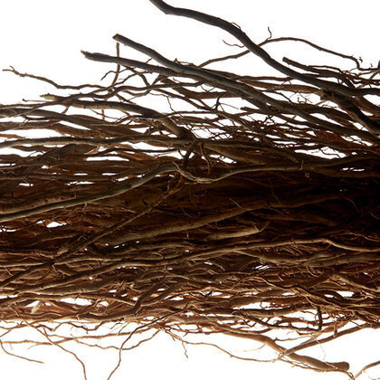 Yves Saint Laurent L'Homme