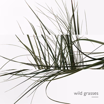 HERMÈS Un Jardin Sur Le Toit