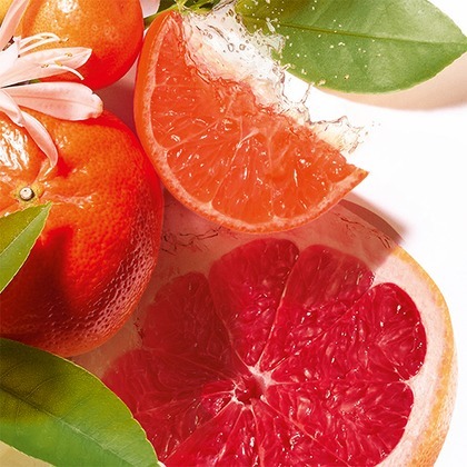 Roger & Gallet Jean-Marie Farina