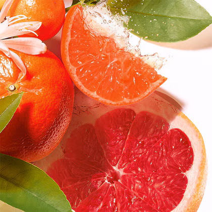 Roger & Gallet Jean-Marie Farina