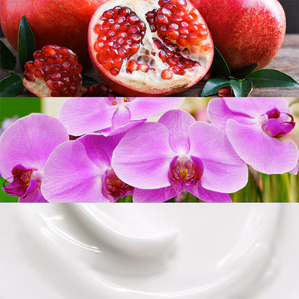 Calvin Klein Euphoria For Women