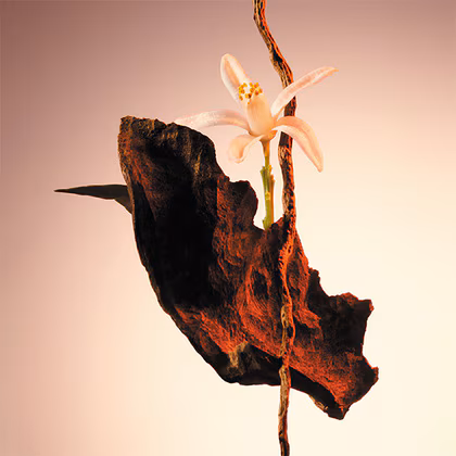 HUGO BOSS Boss The Scent Le Parfum