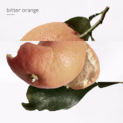 HERMÈS Eau des Merveilles