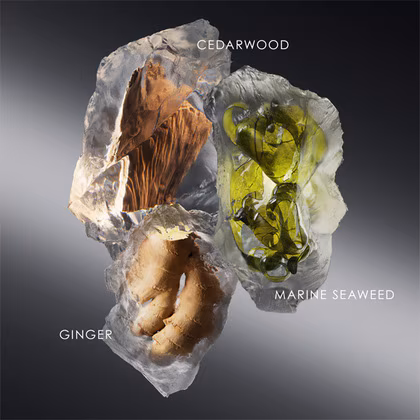 Issey Miyake Les Sel d'Issey