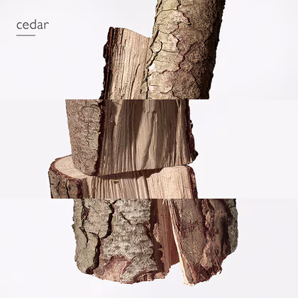 HERMÈS Terre d'Hermès