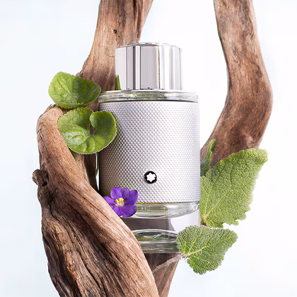 Montblanc Explorer Platinum