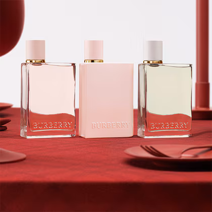 Burberry Burberry Her