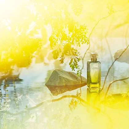 HERMÈS Le Jardin De Monsieur Li