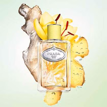 Prada Infusion de Gingembre
