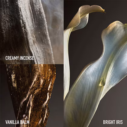 Rabanne Fame Couture