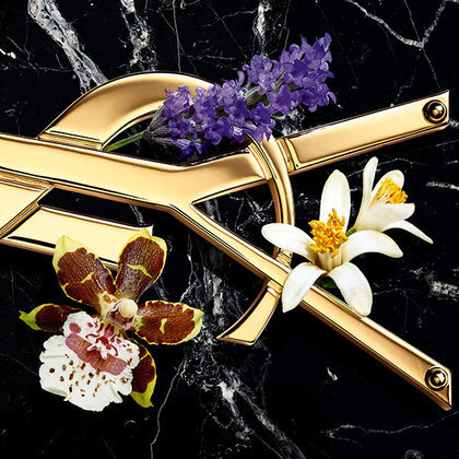 Yves Saint Laurent Libre Intense