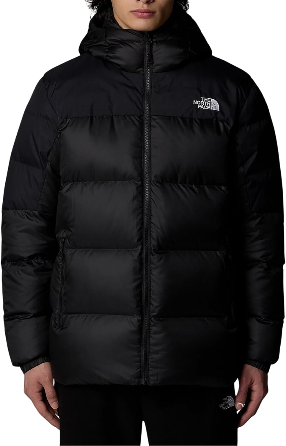 THE NORTH FACE Men's Printed Hydrenalite Down Hoodie Puffer Jacket